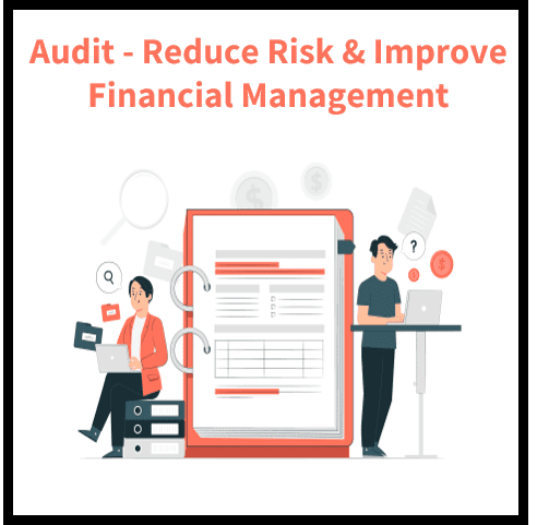 Auditing Your Business: A Comprehensive Guide to Reducing Risk and Improving Financial Management