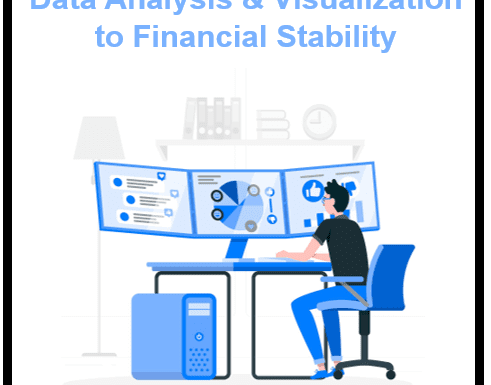 Using Data Analysis and Visualization to Improve Financial Stability