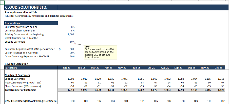 financial model - assumptions tab