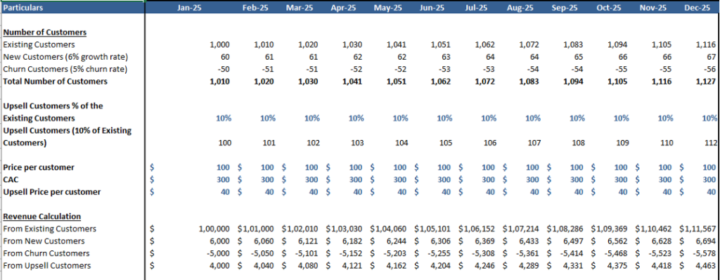 SAAS Financial Model Inputs