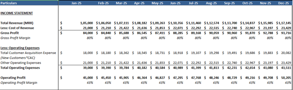 SAAS Financial Model Revenues and Costs